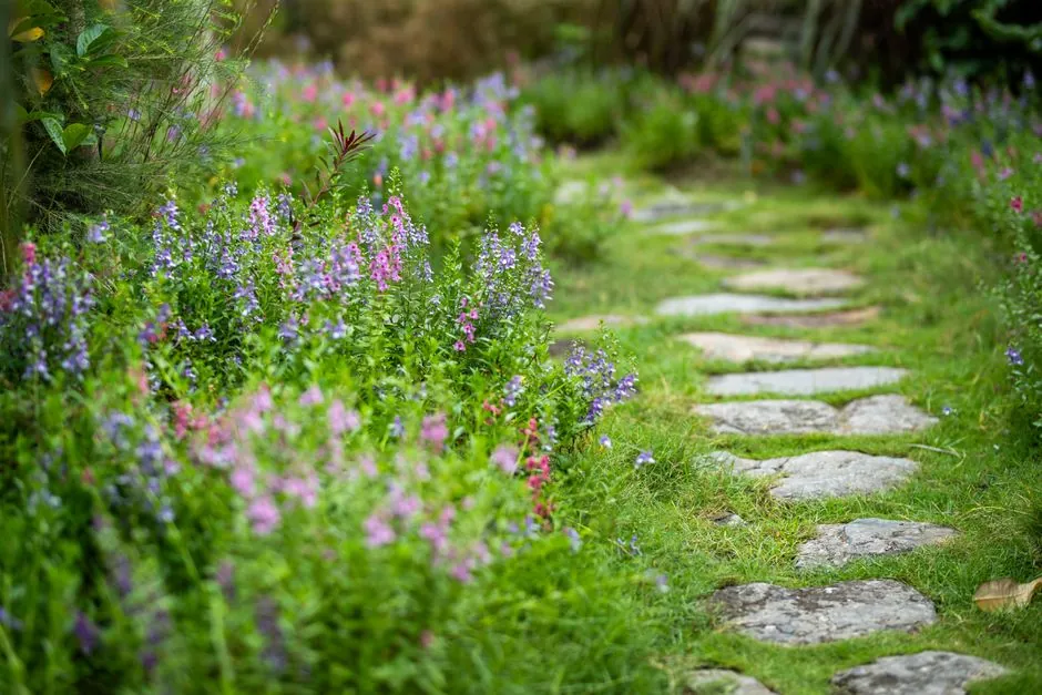 Jardin urbain bordelais amenage